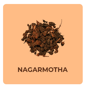 Nagarmotha